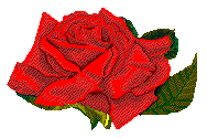 rose04.gif